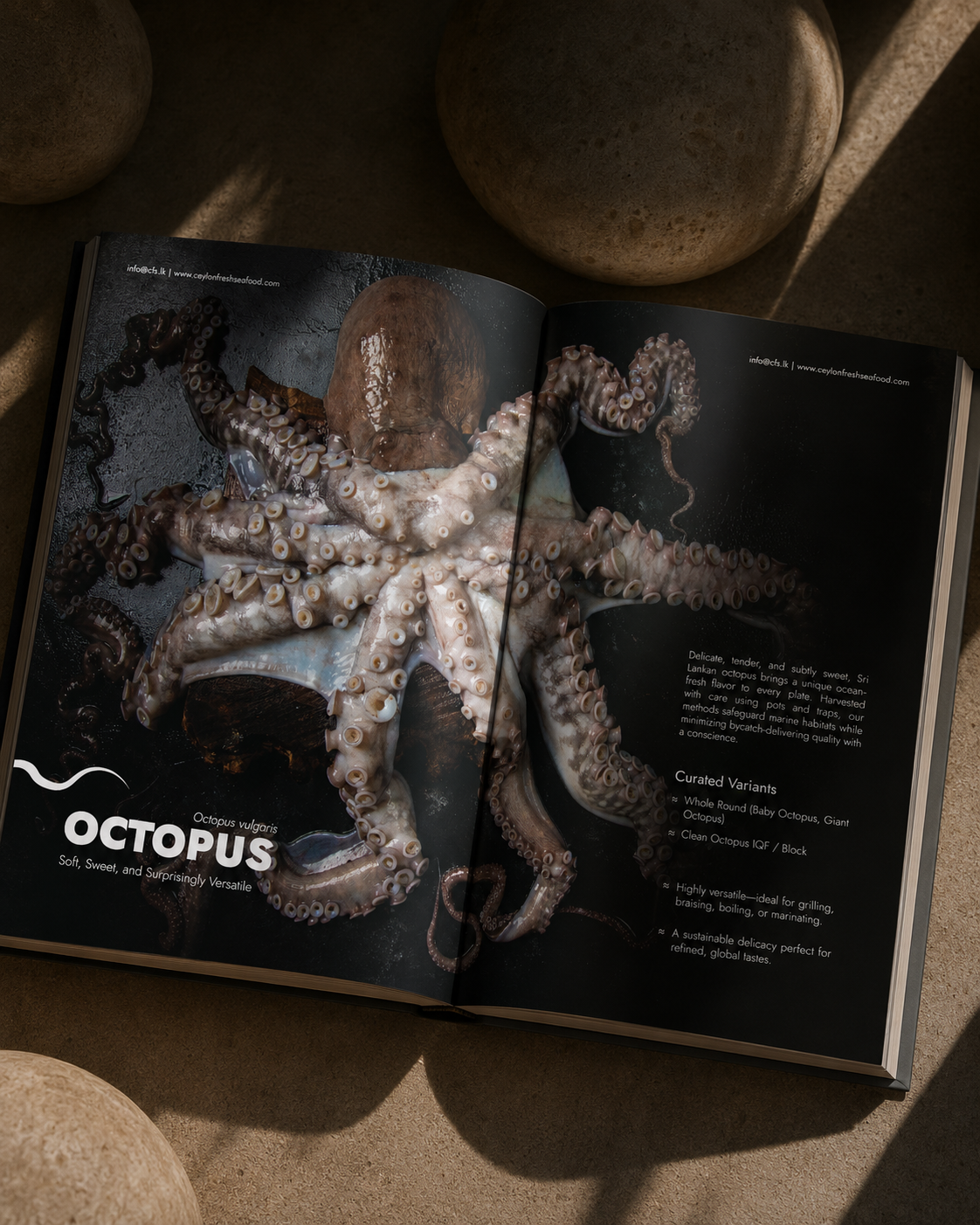 Editorial publication design featuring magazine layout, typography and photography